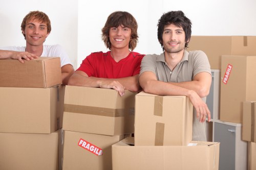 Expert packing materials and labeling system for Hampstead moves
