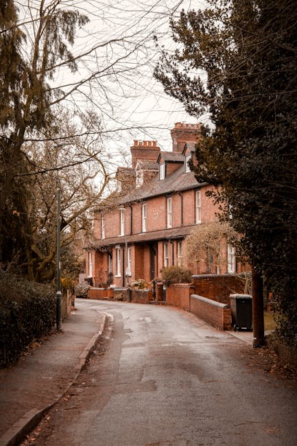 A narrow residential street leading to a row of brick terraced houses during daytime, with an overcast sky and leafless trees on either side. In the foreground, a Hampstead Man with Van crew is engage